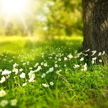 Valnevera Park - Garden Sharing *